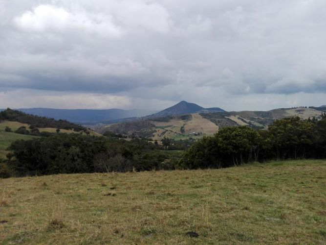 Finca en  Venta en Guandita, Guatavita - Miniatura 12