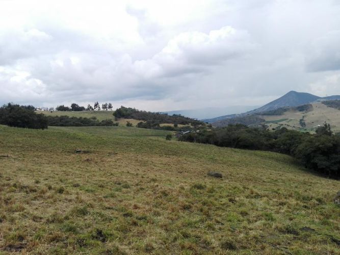 Finca en  Venta en Guandita, Guatavita - Miniatura 13