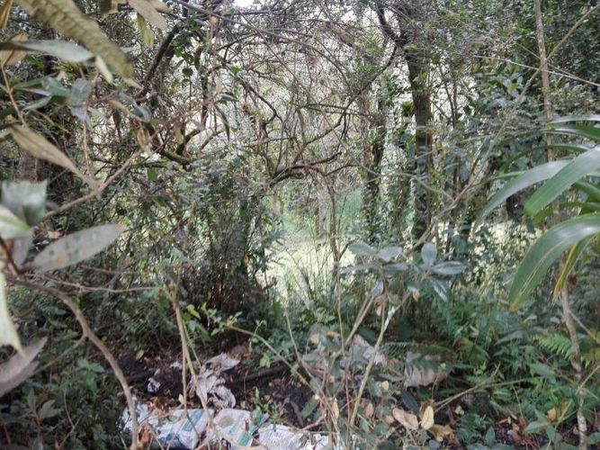 Finca en  Venta en Guandita, Guatavita - Miniatura 14