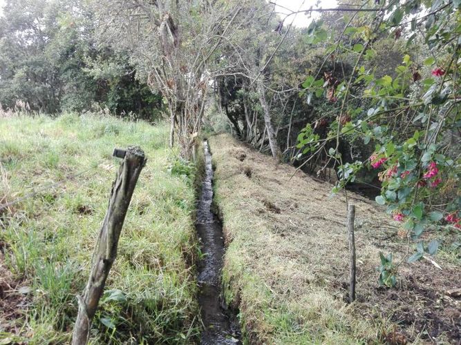 Finca en  Venta en Guandita, Guatavita - Miniatura 16