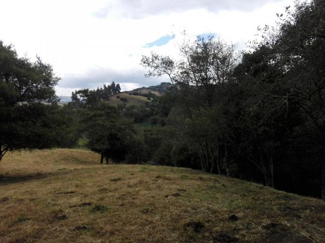 Finca en  Venta en Guandita, Guatavita - Miniatura 18