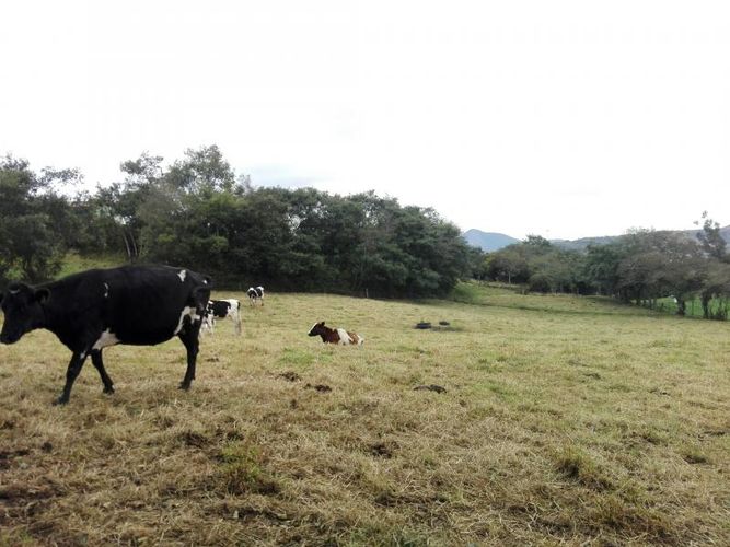 Finca en  Venta en Guandita, Guatavita - Miniatura 19