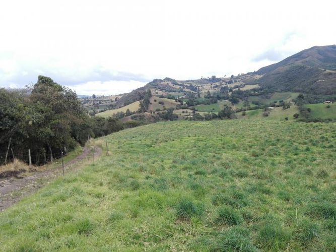 Finca en  Venta en Guandita, Guatavita - Miniatura 21