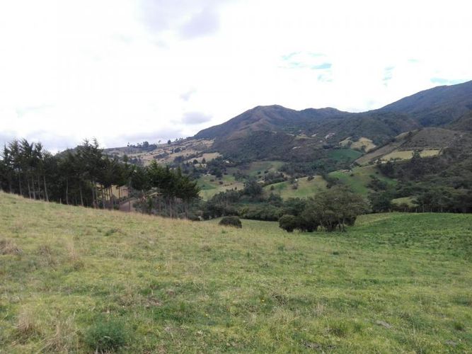 Finca en  Venta en Guandita, Guatavita - Miniatura 22