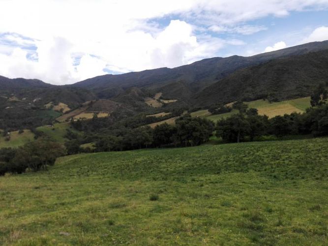 Finca en  Venta en Guandita, Guatavita - Miniatura 23