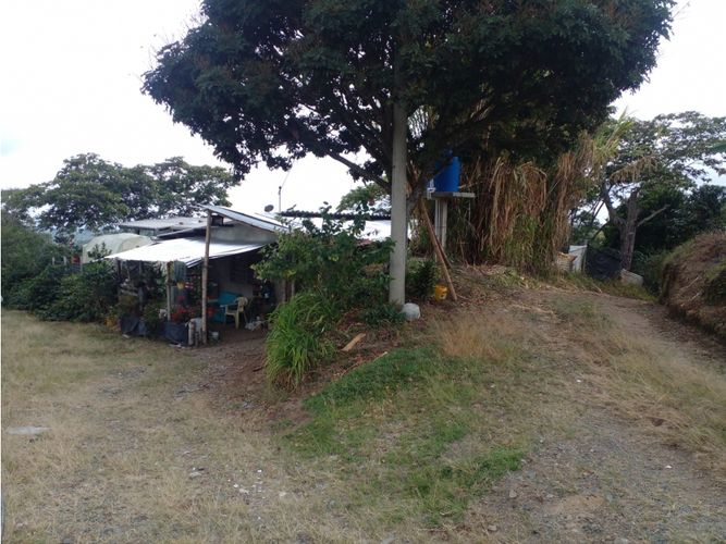 Finca en  Venta en Circasia - Imagen 1