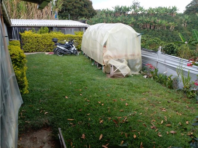 Finca en  Venta en Circasia - Miniatura 12
