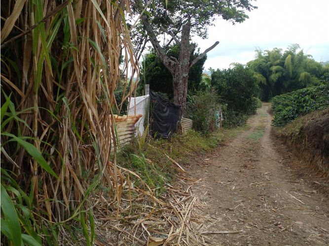 Finca en  Venta en Circasia - Miniatura 13