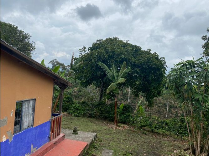 Finca en  Venta en Norte de Armenia, Circasia - Miniatura 5