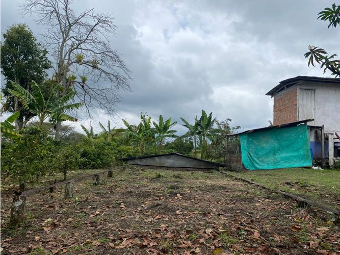 Finca en  Venta en Norte de Armenia, Circasia - Miniatura 8