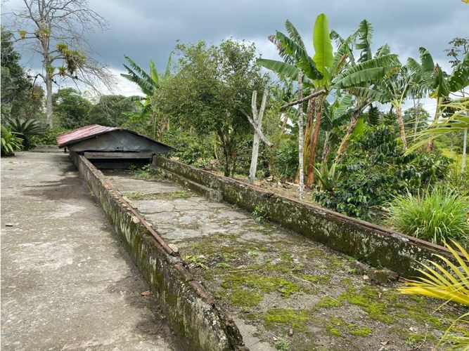 Finca en  Venta en Norte de Armenia, Circasia - Miniatura 12
