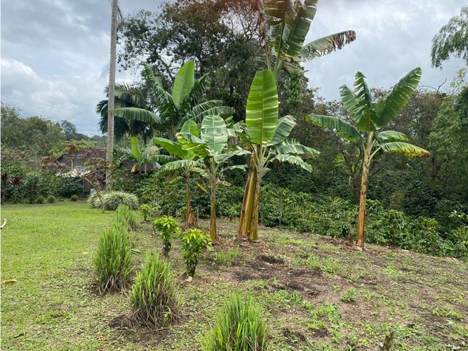 Finca en  Venta en Norte de Armenia, Circasia - Miniatura 17