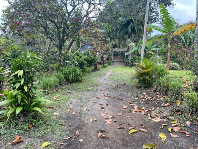 Finca en  Venta en Norte de Armenia, Circasia - Miniatura 18