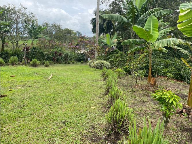 Finca en  Venta en Norte de Armenia, Circasia - Miniatura 23