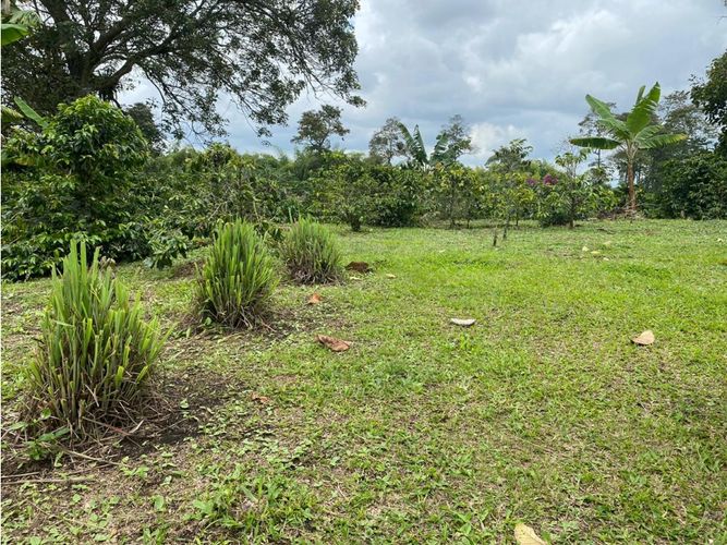 Finca en  Venta en Norte de Armenia, Circasia - Miniatura 25