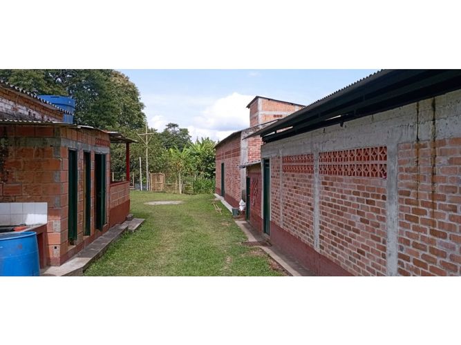 Finca en  Venta en Quimbaya - Miniatura 3