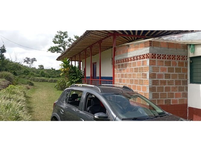 Finca en  Venta en Quimbaya - Miniatura 4