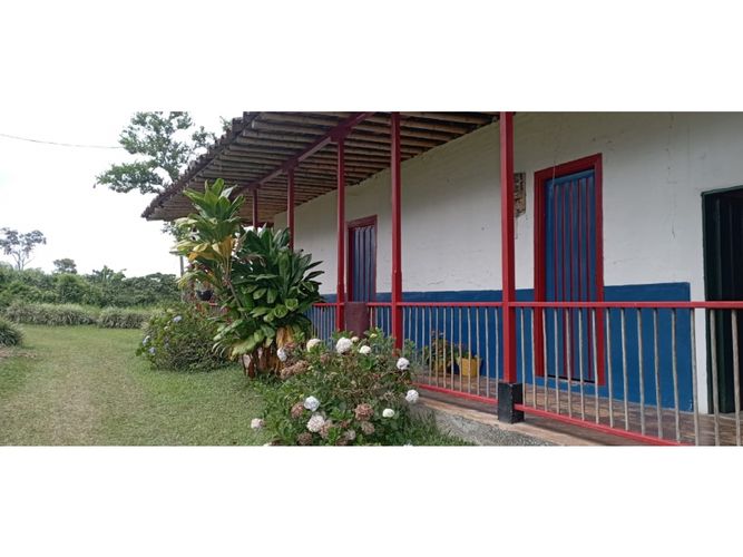 Finca en  Venta en Quimbaya - Miniatura 5