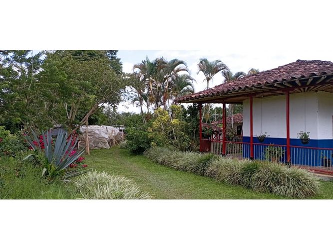Finca en  Venta en Quimbaya - Miniatura 6