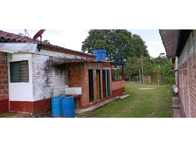 Finca en  Venta en Quimbaya - Miniatura 7