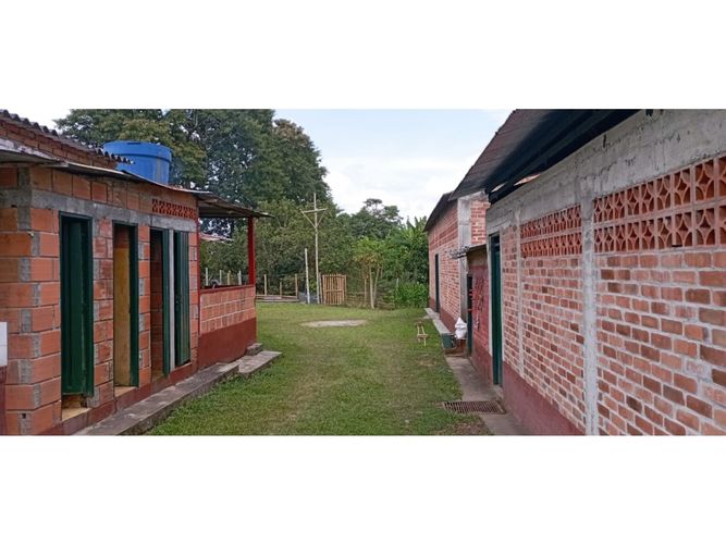 Finca en  Venta en Quimbaya - Miniatura 8