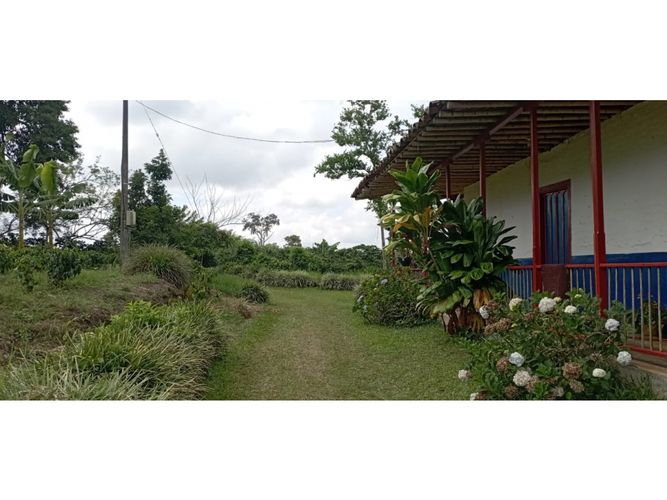 Finca en  Venta en Quimbaya - Miniatura 9