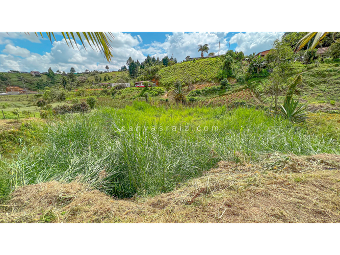 Finca en  Venta en Guarne - Miniatura 19