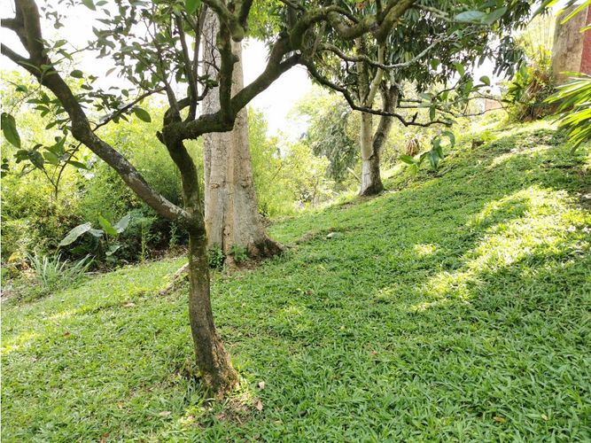 Finca en  Venta en La masata, Villeta - Miniatura 22