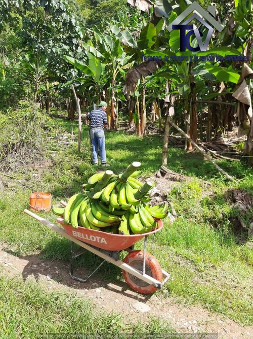 Finca en  Venta en El playon - Imagen 1