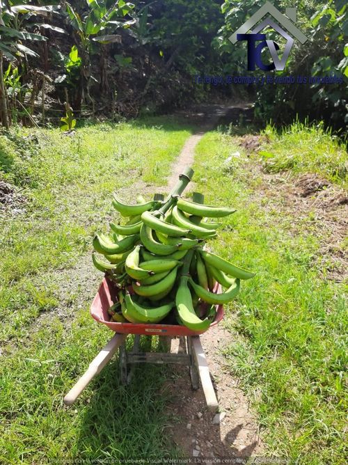 Finca en  Venta en El playon - Miniatura 2