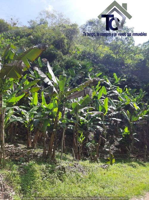 Finca en  Venta en El playon - Miniatura 4