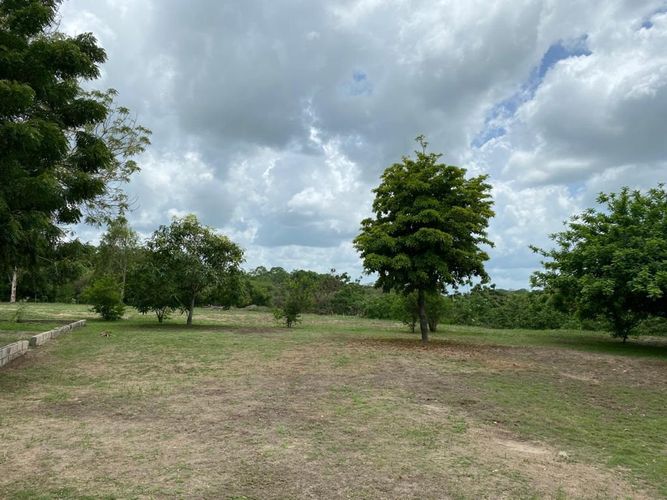 Finca en  Arriendo en Villa celena, Sabanagrande - Miniatura 7
