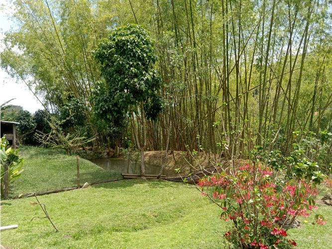 Finca en venta en Guacarí - Imagen 1