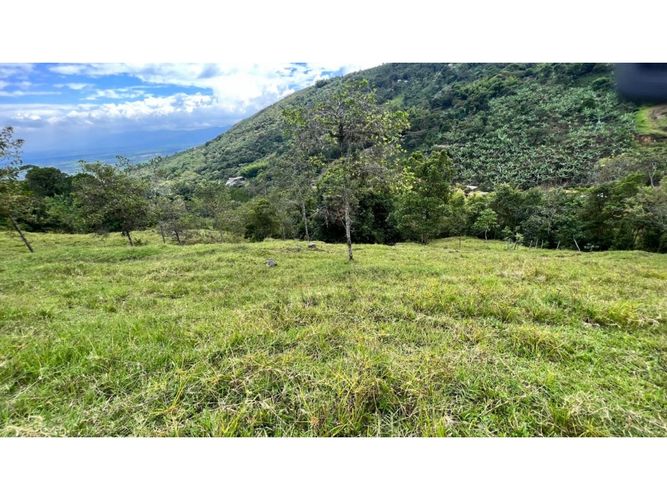 Finca en venta en Guacarí - Miniatura 3