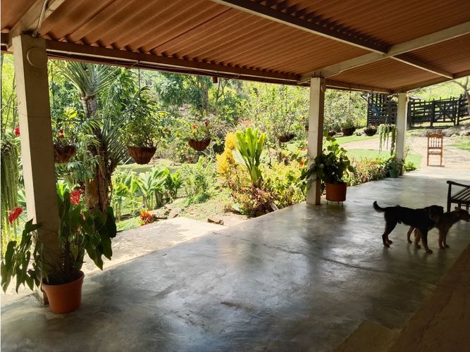 Finca en venta en Guacarí - Miniatura 8