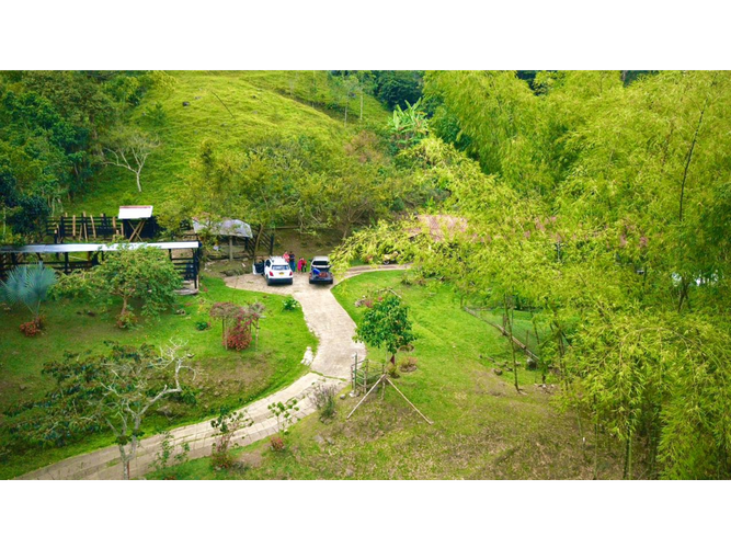 Finca en venta en Guacarí - Miniatura 9