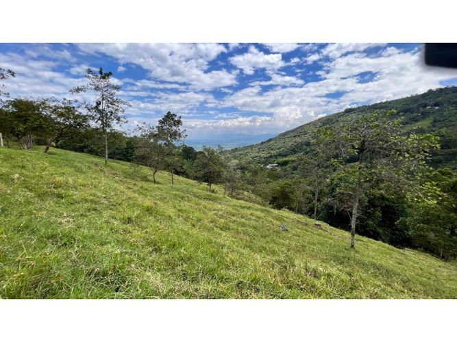 Finca en venta en Guacarí - Miniatura 10