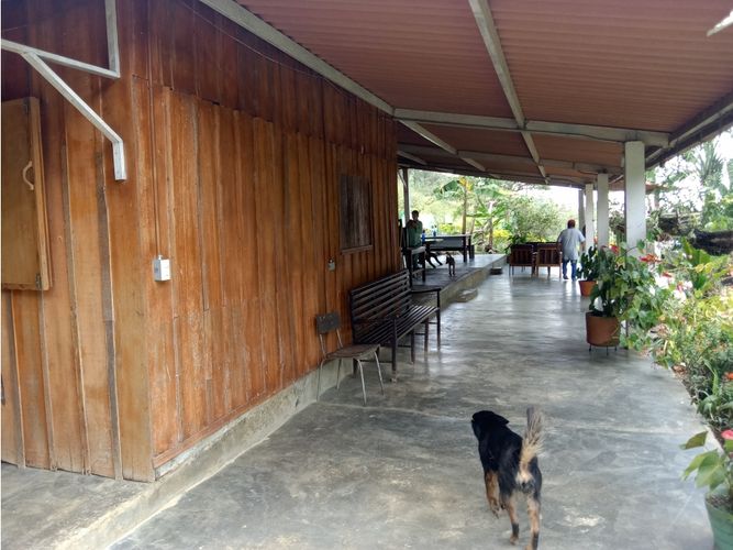 Finca en venta en Guacarí - Miniatura 12