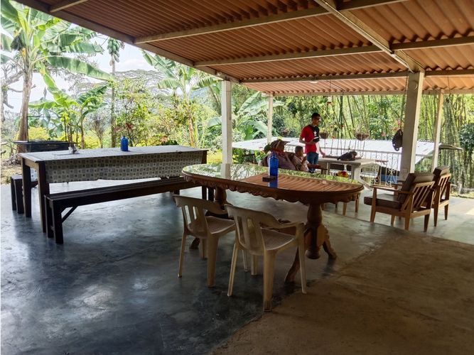 Finca en venta en Guacarí - Miniatura 13