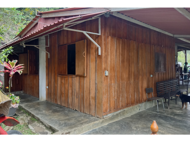 Finca en venta en Guacarí - Miniatura 15