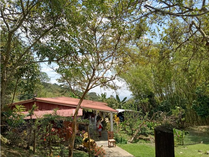 Finca en venta en Guacarí - Miniatura 22