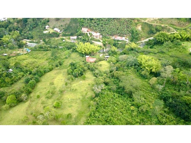 Finca en venta en Guacarí - Miniatura 23