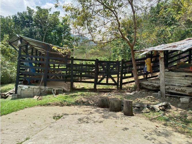 Finca en venta en Guacarí - Miniatura 24