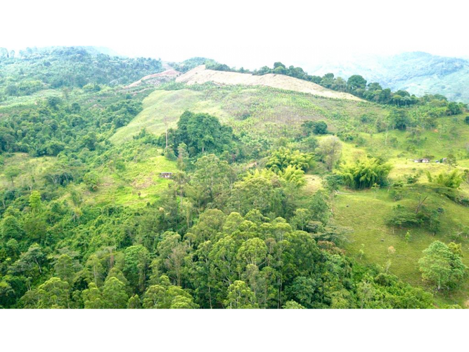 Finca en venta en Guacarí - Miniatura 25