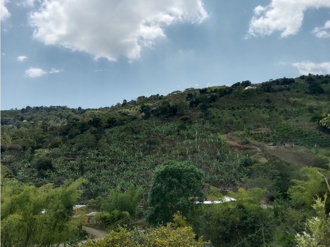 Finca en venta en Guacarí - Miniatura 27