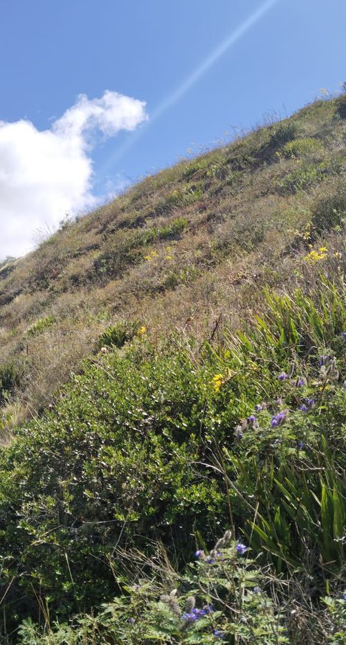 Finca en  Venta en Soraca - Miniatura 4