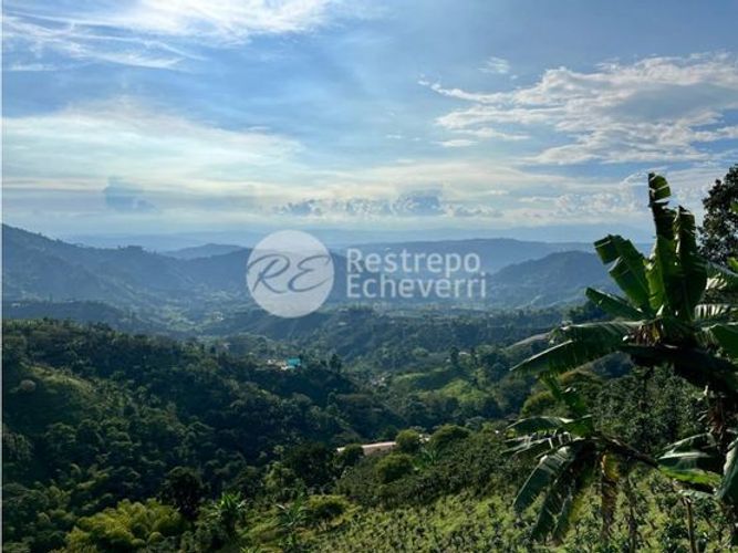 Finca en  Venta en Chinchiná - Imagen 1
