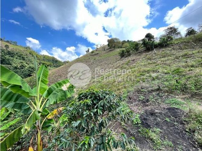 Finca en  Venta en Chinchiná - Miniatura 2