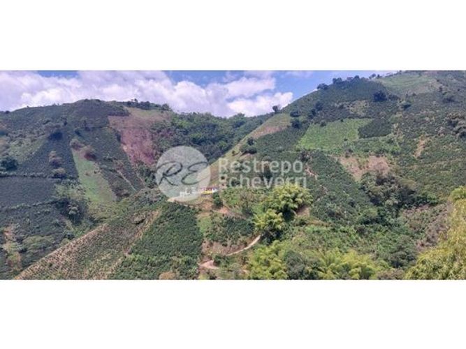 Finca en  Venta en Chinchiná - Miniatura 4