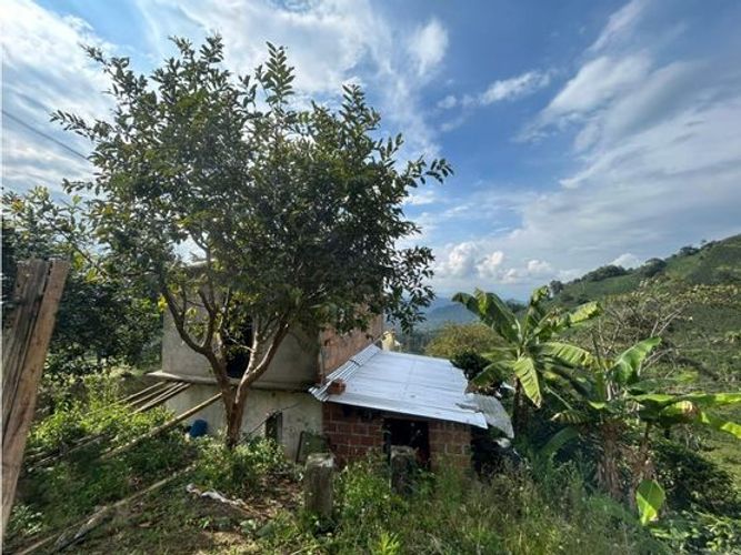 Finca en  Venta en Chinchiná - Miniatura 5